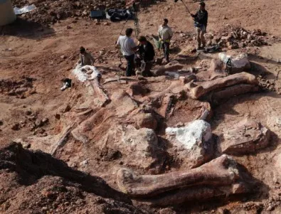 Учени смятат, че са открили най-големия динозавър, живял някога