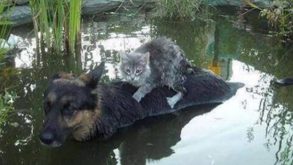 Наводненията в Италия взеха жертви, Дубровник също под вода