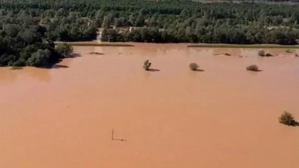 Малария и западнонилска треска заплашват Сърбия 