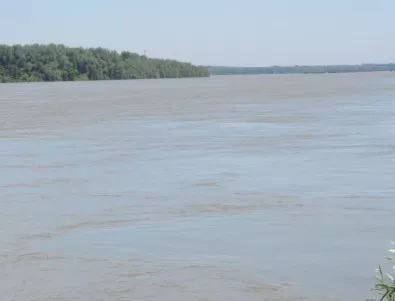 Кафяви води потекоха по Дунав