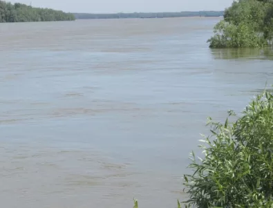 Четвърти ден водолази издирват мъж, повлечен от Дунав при град Мартен