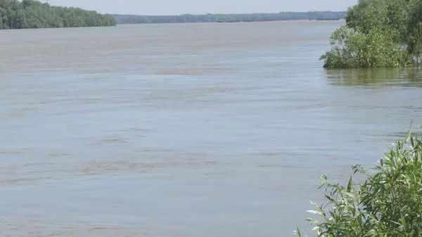 Четвърти ден водолази издирват мъж, повлечен от Дунав при град Мартен