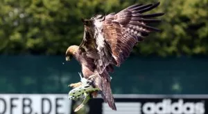 Колко дават спонсорите на топ клубовете в Европа?