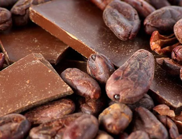 Производителите на шоколад ще се борят с намаляващото производство на какао 