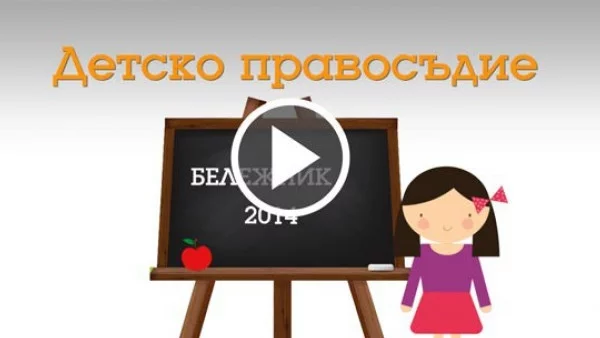 Бележник 2014: Област "Детско правосъдие"