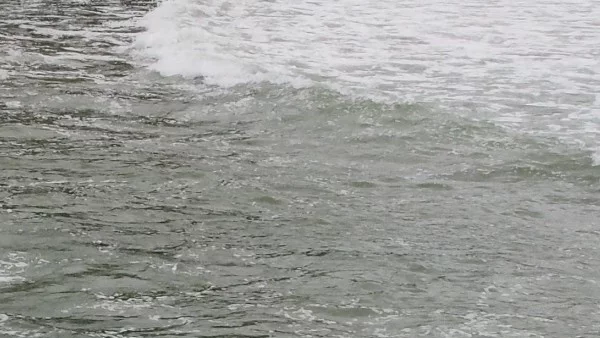 Морската вода по Добруджанското крайбрежие е добра за къпане 