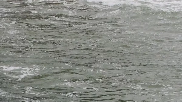 Жена от Чирпан се удави край Черноморец 
