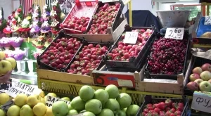 ЕС пуска нови компенсации за плодове от 1 август