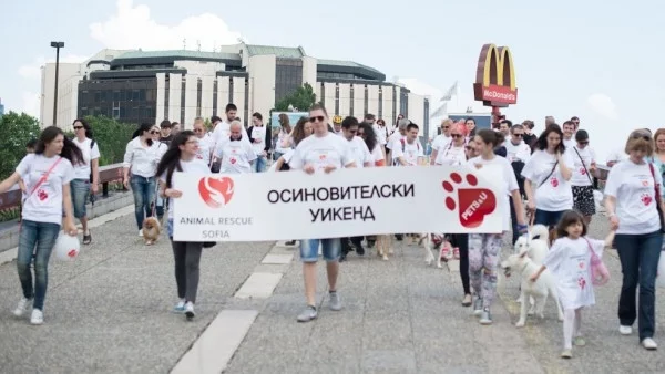 Осиновете си кученце - Animal Rescue Sofia дава възможност всеки уикенд