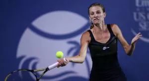 Сесил почва с холандка на клей