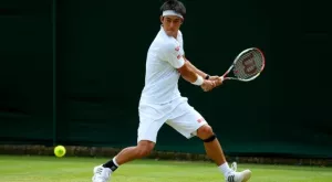 Нишикори отпадна като вариант за съперник на Гришо