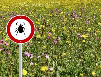 Предстои пръскане срещу кърлежи и комари на територията на Казанлък 