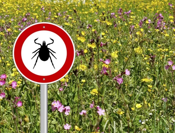 В Бургас започва обработка на рисковите зони срещу кърлежи и комари