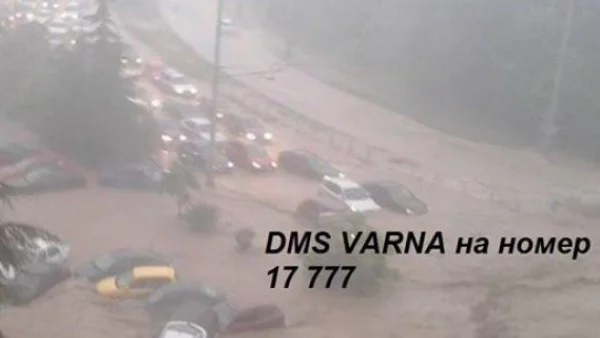 Над 700 000 съобщения са изпратени на DMS VARNA