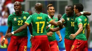 Камерун си търси селекционер по интернет