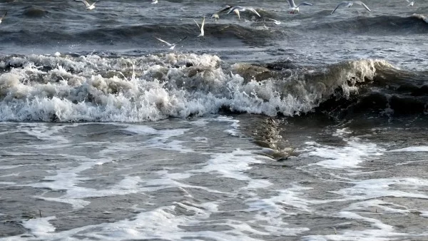 Температурата на морската вода ще е 22°-24°