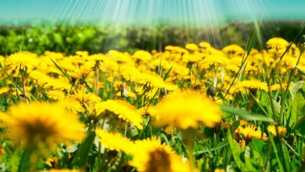 Горещо с температури до 36°