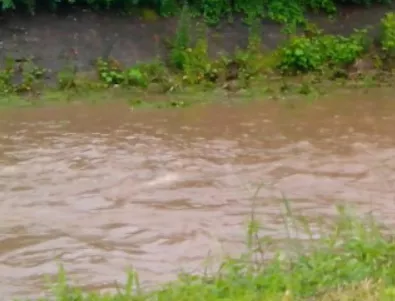 Екологично бедствие в река Луда Яна