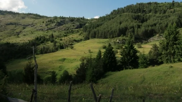 Мъж и жена са се изгубили в Осоговска планина, няма връзка с тях 