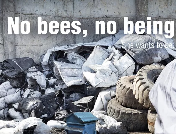 Без пчели няма живот