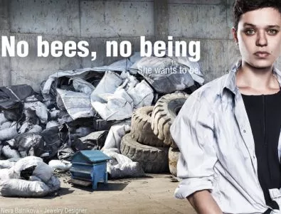 40% от пчелите в САЩ са загинали