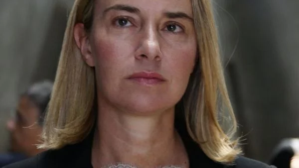 Могерини поиска незабавно примирие в Източна Украйна