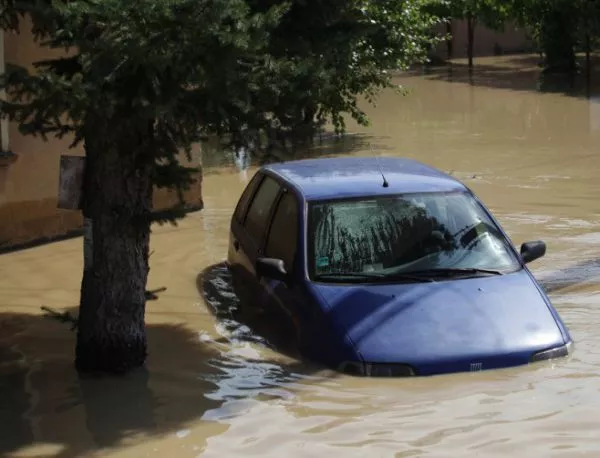 Наводнение "удави" Тбилиси, из града бродят хищни животни