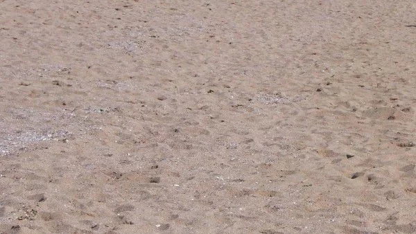 Пет плажа във Варна отиват на концесия с таен търг