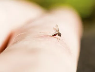 Първи случаи на денге, от 70 години насам, бяха регистрирани в Япония