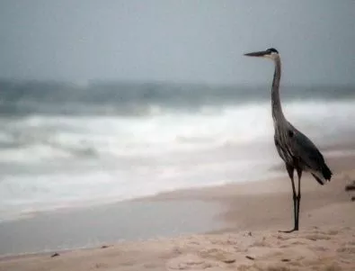 Кърт Ръсел се снима във филм за бедствието в Мексиканския залив