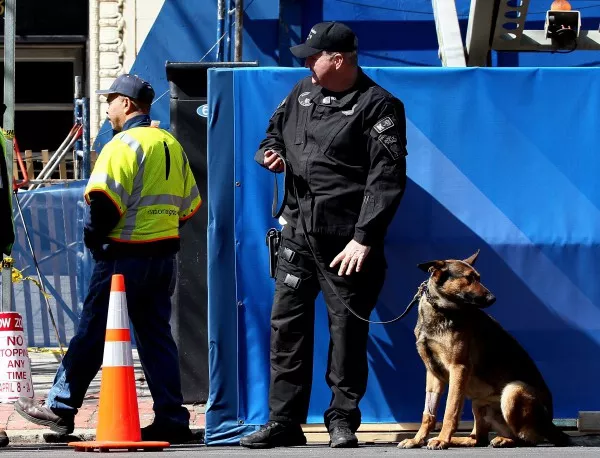 Полицейските кучета в САЩ обличат бронежилетки