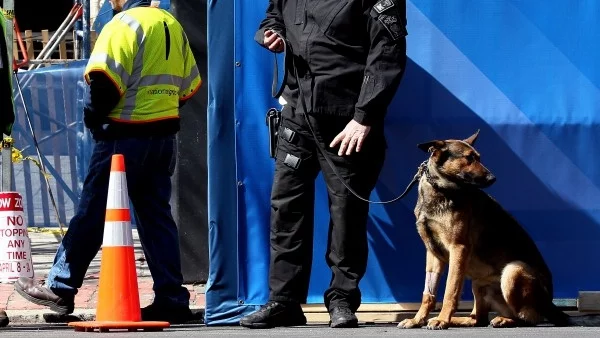 Полицейските кучета в САЩ обличат бронежилетки