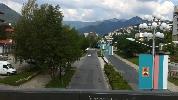 Пиян шофьор паркира върху борове в Смолян