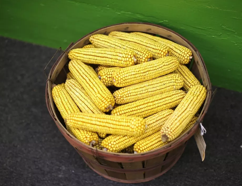 5 причини да похапваме повече царевица