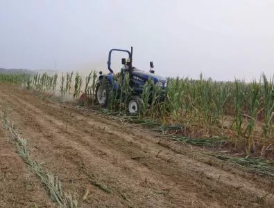 Земеделски производители от Видинско вече застраховат продукцията си