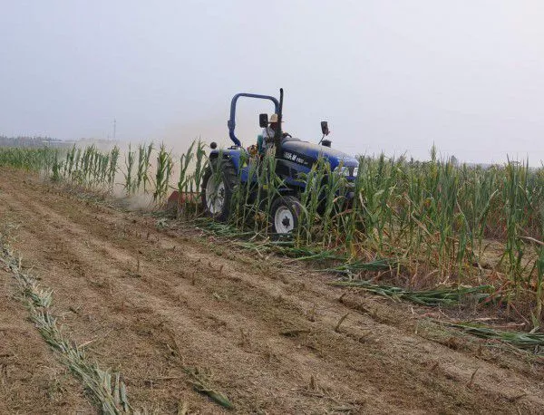 Специални мерки за опазването на селскостопанската продукция във Видинска област
