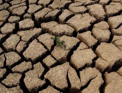 Историческа суша съсипа реколтата в Испания, страната търси помощ от ЕС