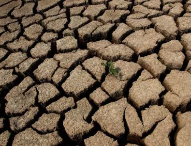 Глобалното затопляне донесе суша в Южна Африка 