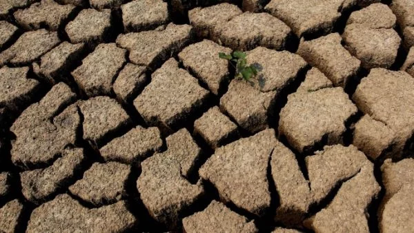 Глобалното затопляне донесе суша в Южна Африка 