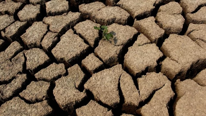 Наводнения и суша заплашват Европа