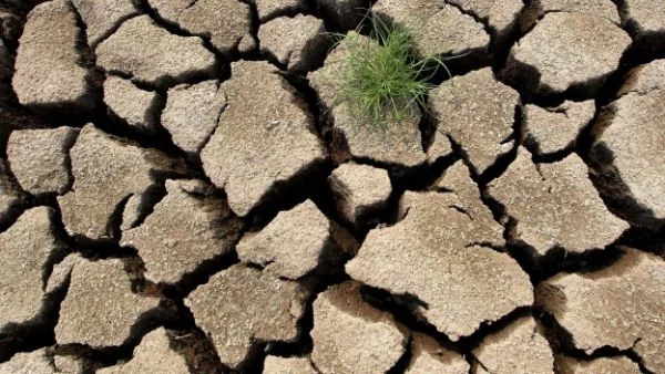 Guardian: Животът на Земята е в опасност