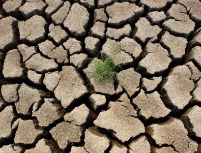 Близо 32 млн. души в Южна Африка са застрашени от недостиг на храна заради сушата