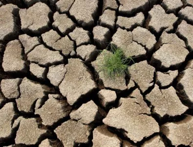 1,3 млрд. долара помощ за австралийските фермери заради сушата