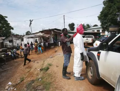 Еболата в Западна Африка може да доведе до бум на дребна шарка 