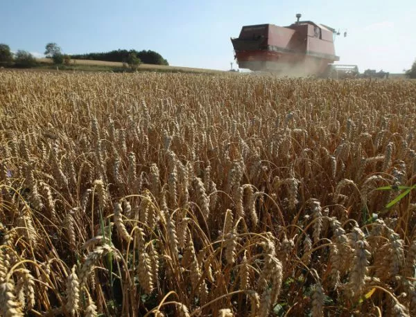 Русия налага мито върху износа на пшеница 
