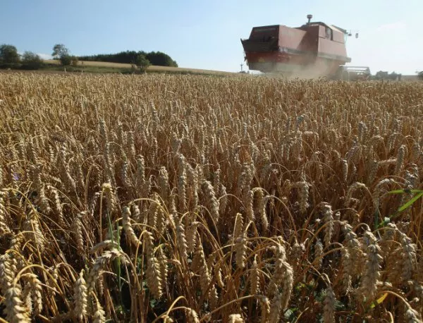 България увеличава износа на зърно