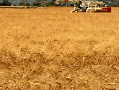 Зърнопроизводители от цялата страна излизат на протест