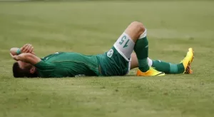 Шеф дръпна здраво конско в Берое