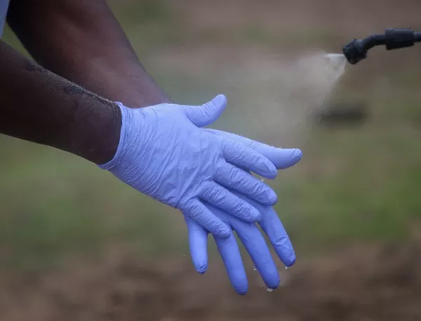 Ваксината срещу ебола проработи върху животни