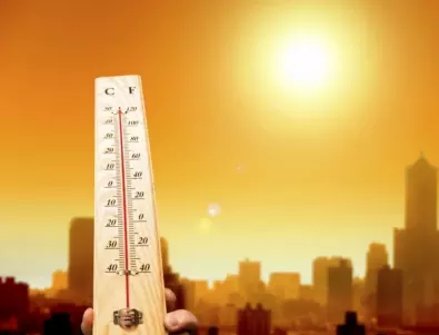 Само за седмица - над 800 починали от жега в Канада 